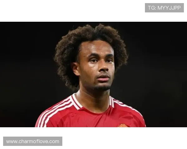 曼联出手就5000万镑看中英超降级区前锋球迷为何不买奥斯梅恩