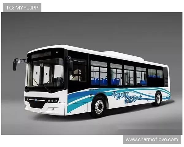 记者视角解析山东组织巧上海副攻实力全面展现激烈对决亮点攻势篇